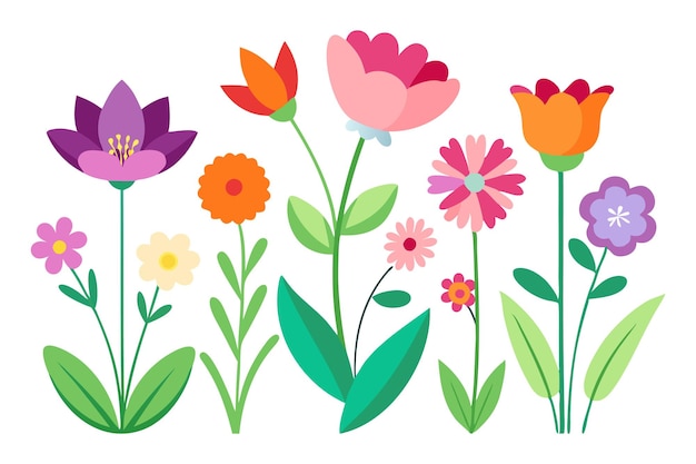 conjunto de flores de jardín ilustración vectorial plana aislada en fondo blanco
