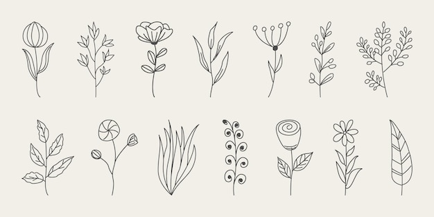 Conjunto de flores minimalistas dibujadas a mano con hojas elegantes.