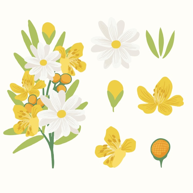 Conjunto de flores mixtas