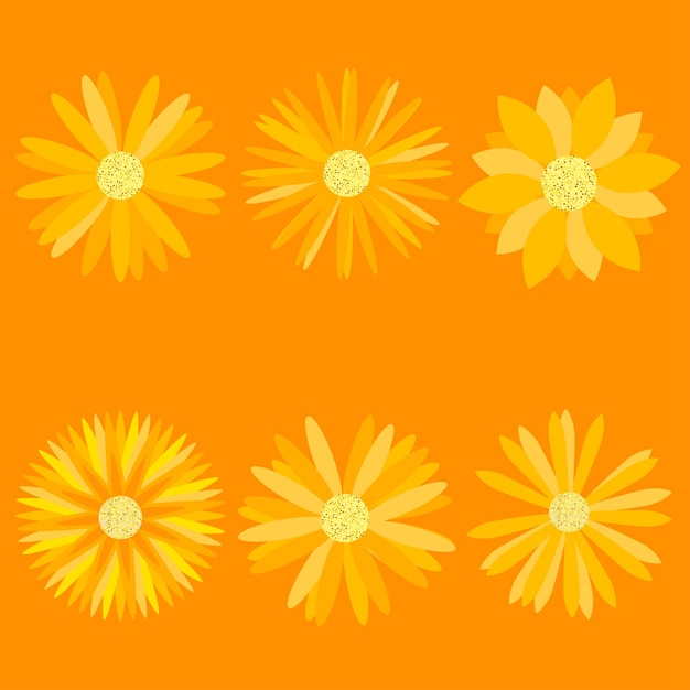 Conjunto de flores naranjas sobre fondo naranja ideal para proyectos y decoraciones