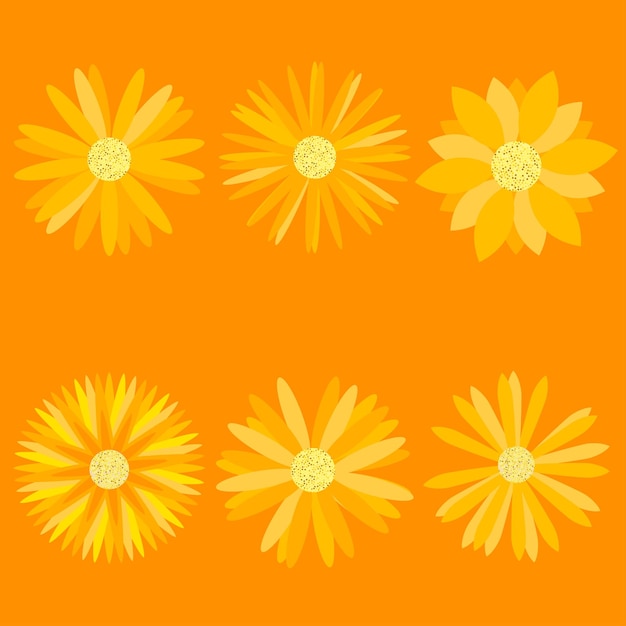 Vector conjunto de flores naranjas sobre fondo naranja ideal para proyectos y decoraciones