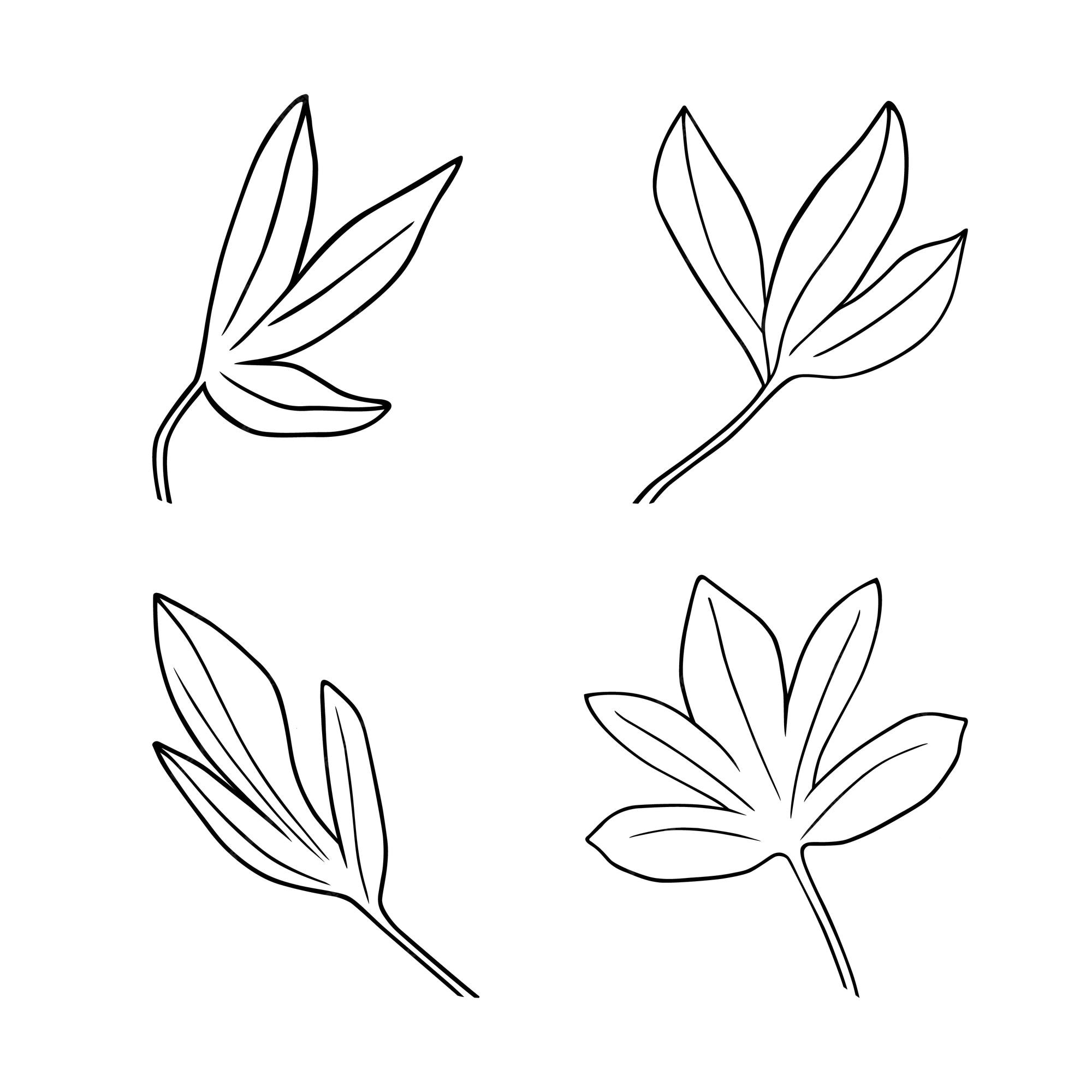Conjunto de flores de peonía de hojas en arte lineal hermosa ilustración  botánica de paeonia dibujada a mano aislada | Vector Premium