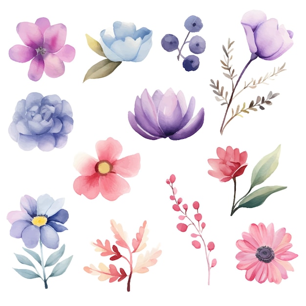 Conjunto de flores pintadas de acuarela