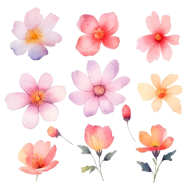 Conjunto de flores pintadas de acuarela