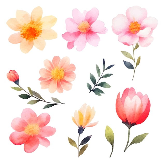 Vector conjunto de flores pintadas de acuarela