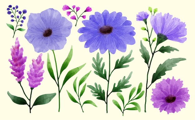 Un conjunto de flores pintadas con acuarelas para acompañar diversas tarjetas y tarjetas de felicitación.