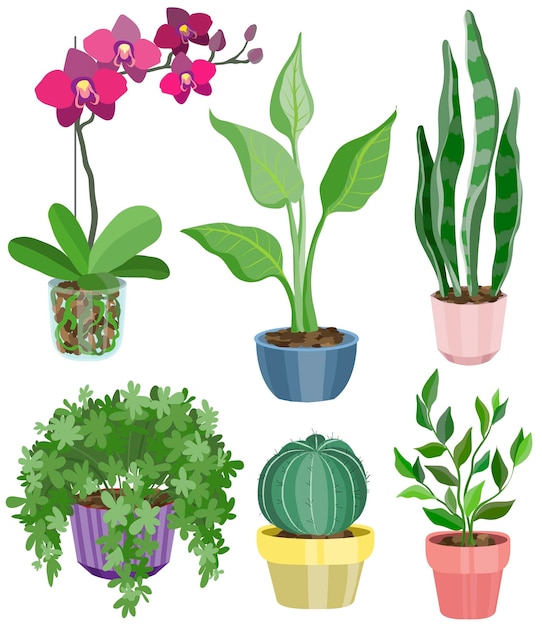 Conjunto con flores planas en macetas