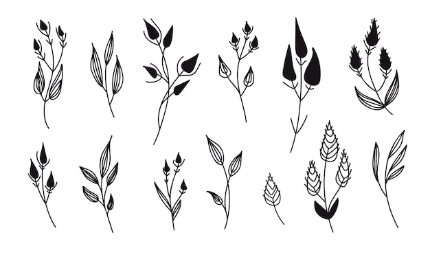 Un conjunto de flores y plantas dibujadas a mano al estilo del arte lineal