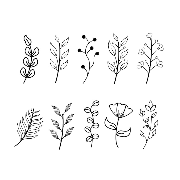 Conjunto de flores y plantas dibujadas a mano ilustración vectorial