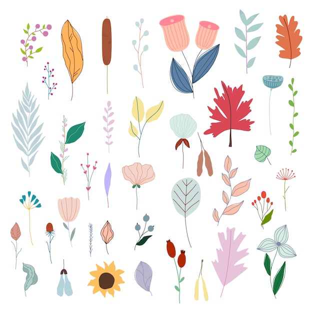 Conjunto de flores y plantas de vector pastel simples dibujados a mano.