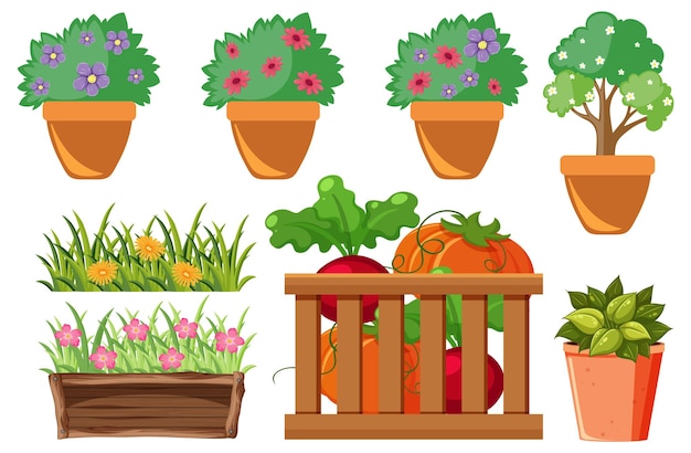 Vector conjunto de flores y plantas