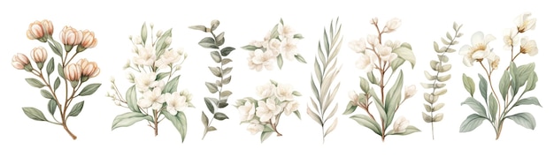 Conjunto de flores de primavera Plantas con flores pastel vintage aisladas sobre un fondo blanco