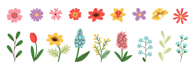 Conjunto de flores de primavera y verano Plantas de flores de garabatos simples aisladas sobre fondo blanco