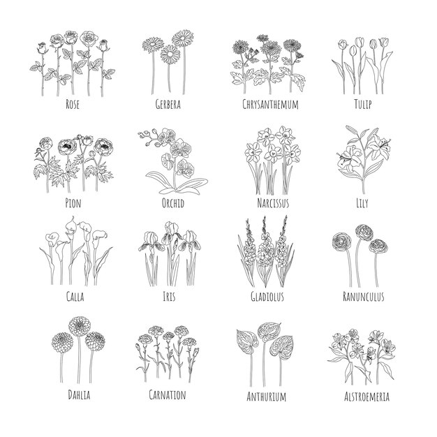 Conjunto de flores principales. Gráficos de línea. ilustración vectorial