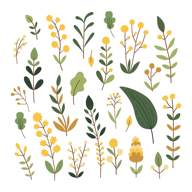 Conjunto de flores rama de hoja plano diseño de ilustración vectorial aislado