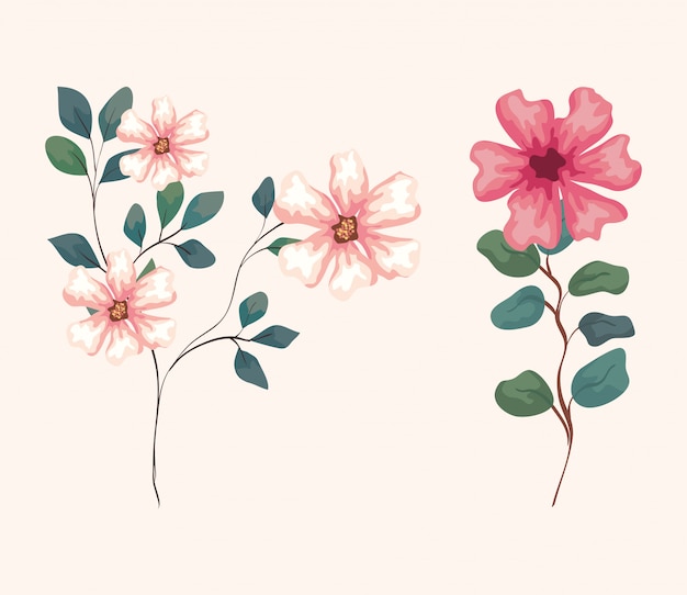 Conjunto de flores con ramas y hojas, en blanco ilustración, diseño