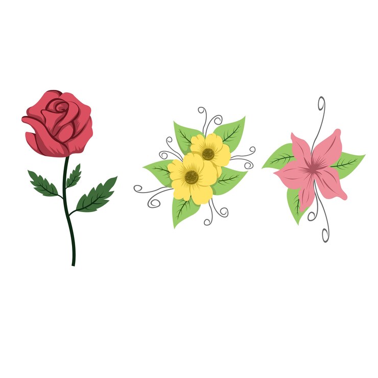 Conjunto de flores con ramas y hojas naturales.