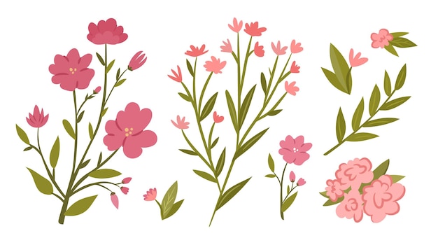 Conjunto de flores y ramas rosadas. Colección de lindas ramas de flores y hojas. Ilustración vectorial plana