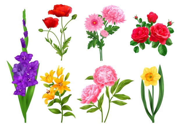 Vector conjunto de flores realistas