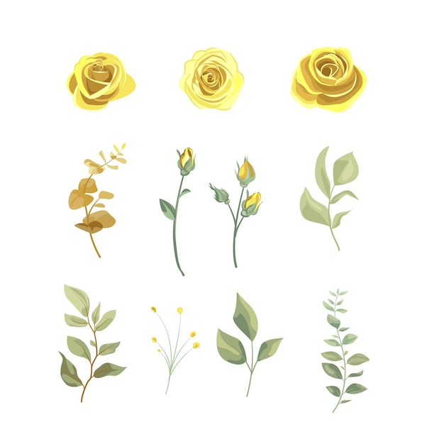 conjunto de flores de rosa amarillas elementos florales aislados en fondo blanco