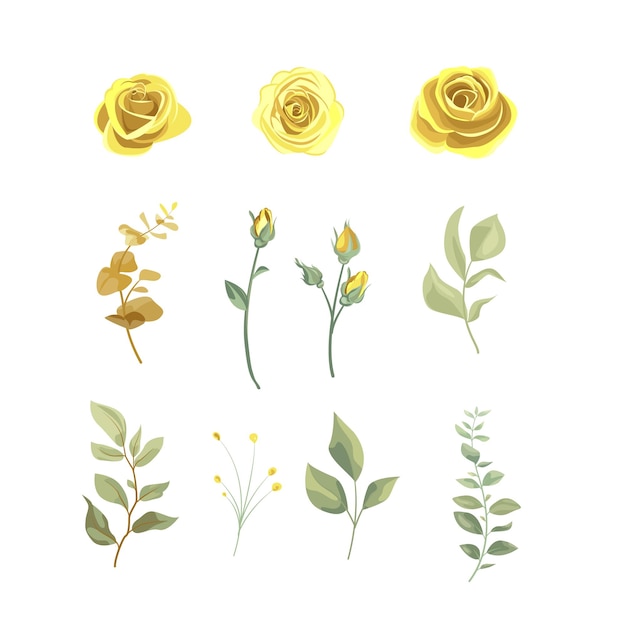 Vector conjunto de flores de rosa amarillas elementos florales aislados en fondo blanco