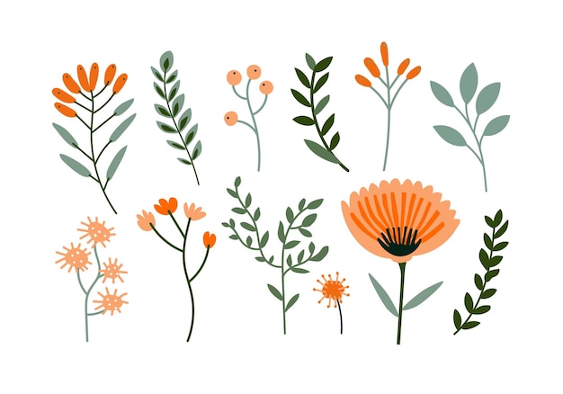 Conjunto de flores rosadas dibujadas a mano, hojas y ramas Ilustración vectorial
