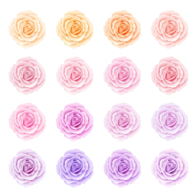 Conjunto de flores rosas aisladas sobre fondo blanco ilustración vectorial