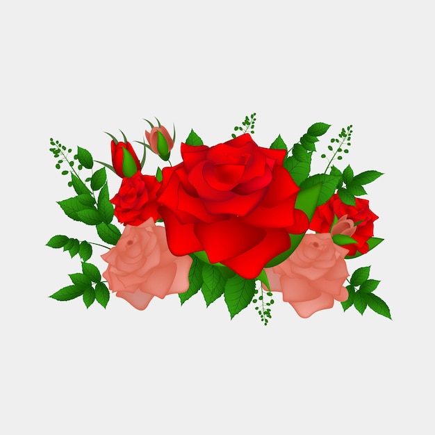 Vector conjunto de flores rosas realistas e ilustración vectorial