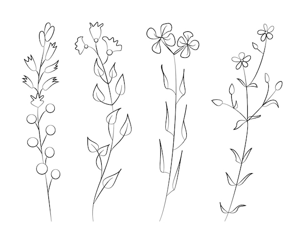Conjunto de flores silvestres dibujadas a mano