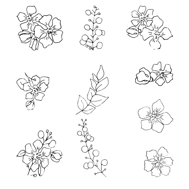 Conjunto de flores silvestres dibujado a mano Flores de campo