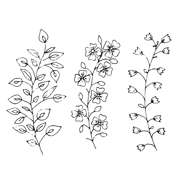 Conjunto de flores silvestres dibujado a mano Flores de campo