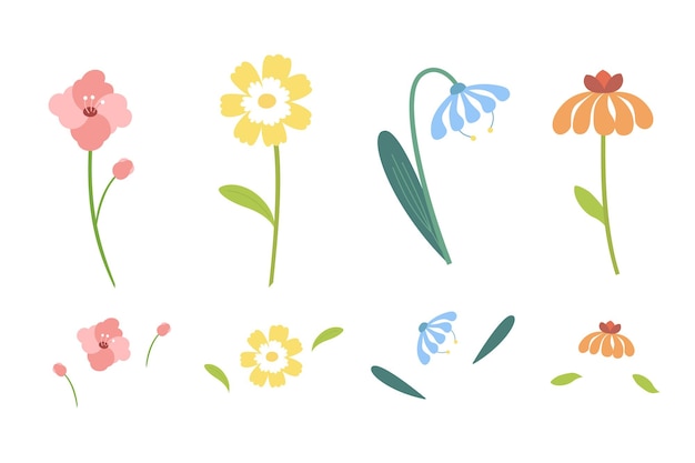 Conjunto de flores silvestres en diseño plano