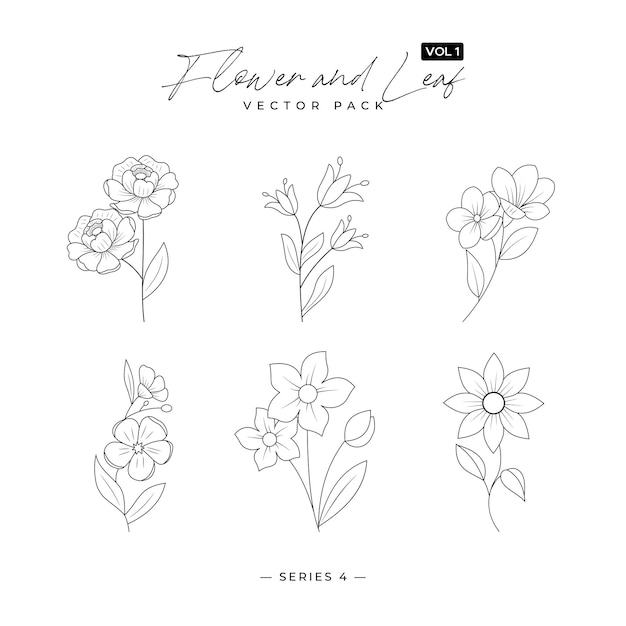 Conjunto de flores silvestres de moda y flores minimalistas para logotipos o decoraciones Belleza decorativa elegante