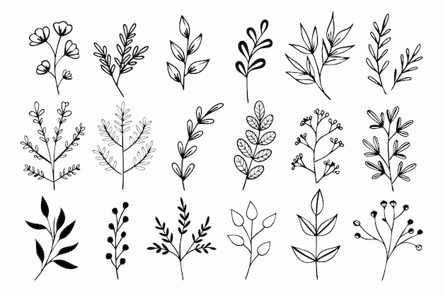 Un conjunto de flores silvestres Ramas florales y hojas minimalistas para logotipos o tatuajes Flores dibujadas a mano