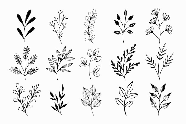 Un conjunto de flores silvestres Ramas florales y hojas minimalistas para logotipos o tatuajes