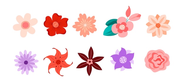 Un conjunto de flores simples sobre un fondo blanco