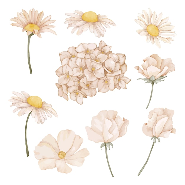 Vector un conjunto de flores sobre un fondo blanco