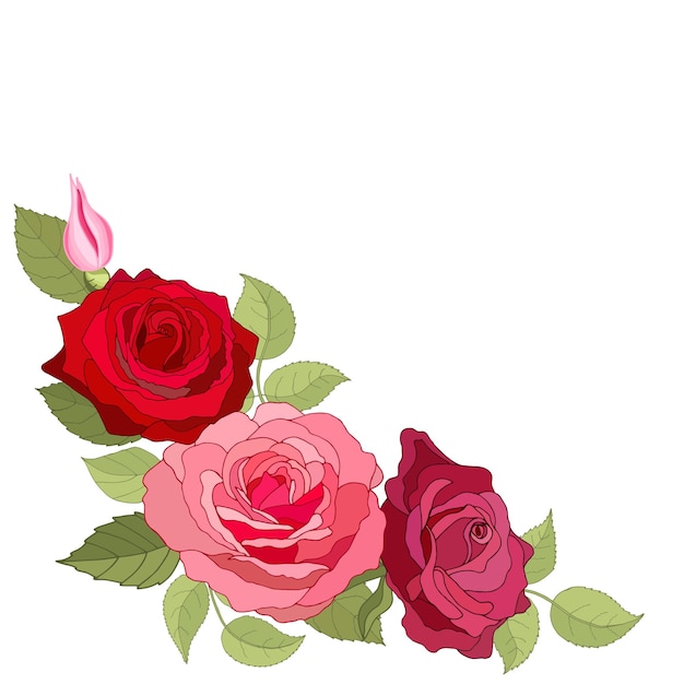 Conjunto de flores la tarjeta elegante rosa ilustración vectorial