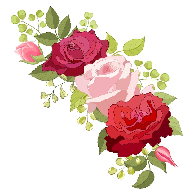 Conjunto de flores La tarjeta elegante rosa Ilustración vectorial