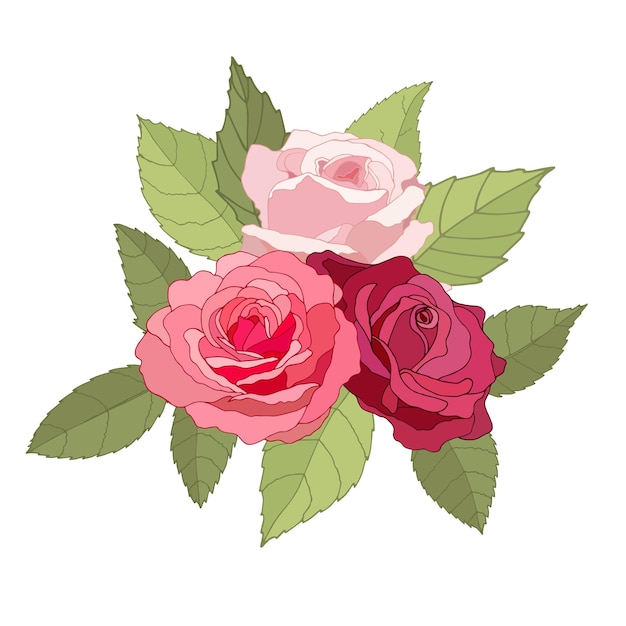 Conjunto de flores La tarjeta elegante rosa Ilustración vectorial