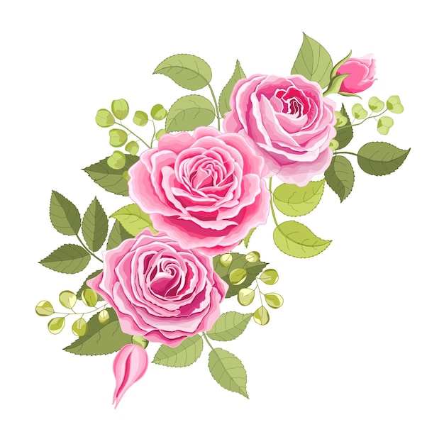 Conjunto de flores La tarjeta elegante rosa Ilustración vectorial