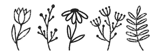 Conjunto de flores con textura de carbón pastel o lápiz de colores Ilustración vectorial de garabateo de verano