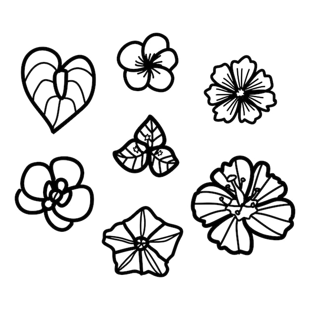 Conjunto de flores tropicales dibujadas a mano