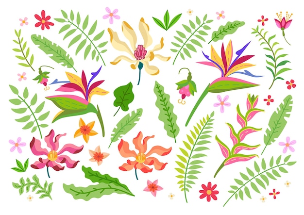 Vector conjunto de flores tropicales. elementos florales de la selva de dibujos animados aislados