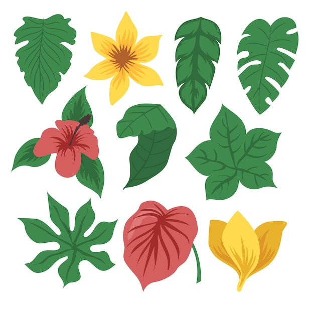 Conjunto de flores tropicales verdes, colección de follaje con elemento de paquete botánico floral colorido