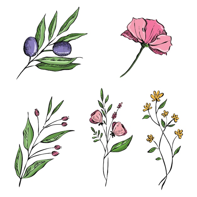 Vector conjunto de flores de la vendimia