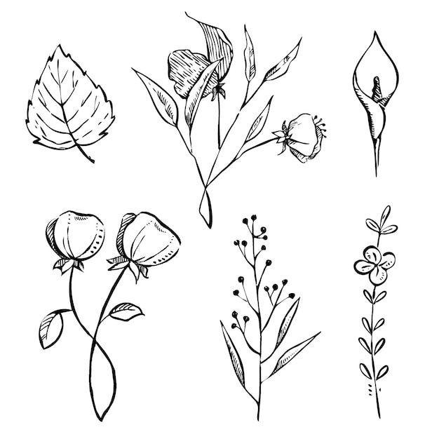 Vector conjunto de flores de la vendimia