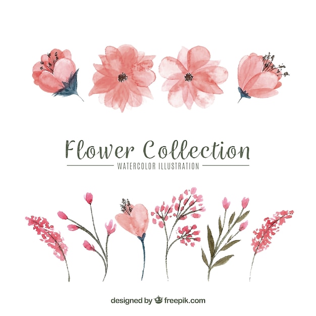 Vector conjunto de flores