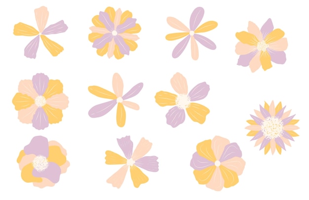 conjunto de flores