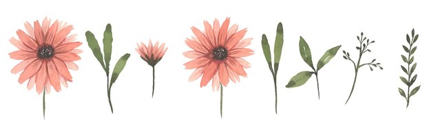 Conjunto de follaje de acuarela hojas y flores dibujadas a mano con elementos de ramo aislados